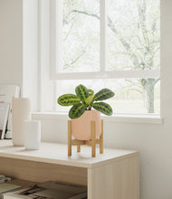 Load image into Gallery viewer, Gentle Pink stand:bamboo