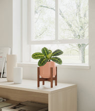 Load image into Gallery viewer, Calm Rose stand:walnut