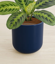 Load image into Gallery viewer, Twilight Blue stand:all