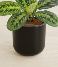 Load image into Gallery viewer, Stone Black stand:all