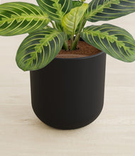 Load image into Gallery viewer, Stone Black stand:all