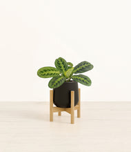 Load image into Gallery viewer, Black stand:bamboo