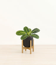 Load image into Gallery viewer, Stone Black stand:bamboo