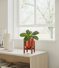 Load image into Gallery viewer, Glossy Red stand:walnut