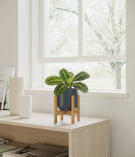 Load image into Gallery viewer, Iron Gray stand:bamboo