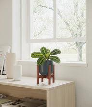 Load image into Gallery viewer, Iron Gray stand:walnut