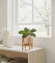 Load image into Gallery viewer, Sandy Pink stand:bamboo