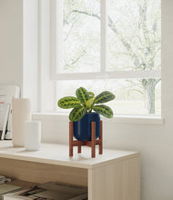 Load image into Gallery viewer, Twilight Blue stand:walnut