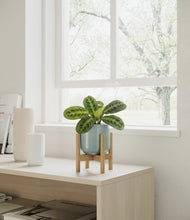 Load image into Gallery viewer, Reactive Aqua stand:bamboo