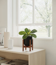 Load image into Gallery viewer, Stone Black stand:walnut
