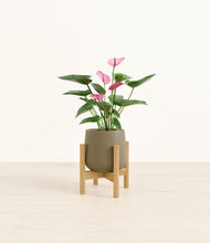 Load image into Gallery viewer, Olive stand:bamboo