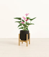 Load image into Gallery viewer, Black stand:bamboo