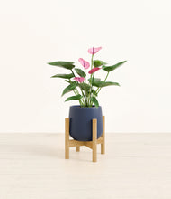 Load image into Gallery viewer, Deep Navy stand:bamboo