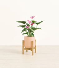 Load image into Gallery viewer, Gentle Pink stand:bamboo