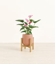 Load image into Gallery viewer, Calm Rose stand:bamboo