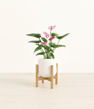 Load image into Gallery viewer, White stand:bamboo