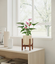 Load image into Gallery viewer, Almond Green stand:walnut