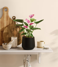 Load image into Gallery viewer, Black