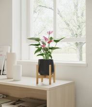 Load image into Gallery viewer, Black stand:bamboo