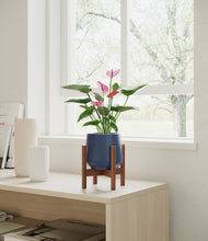 Load image into Gallery viewer, Deep Navy stand:walnut