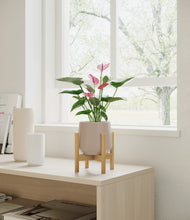 Load image into Gallery viewer, Eternal Gray stand:bamboo