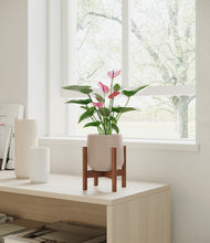 Load image into Gallery viewer, Eternal Gray stand:walnut