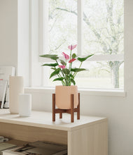 Load image into Gallery viewer, Gentle Pink stand:walnut