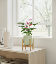 Load image into Gallery viewer, Turquoise stand:bamboo