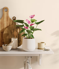 Load image into Gallery viewer, White