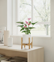 Load image into Gallery viewer, White stand:bamboo