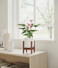 Load image into Gallery viewer, White stand:walnut