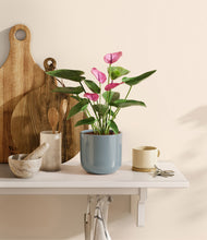 Load image into Gallery viewer, Misty Blue