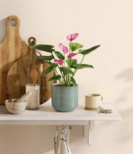 Load image into Gallery viewer, Reactive Aqua