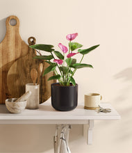 Load image into Gallery viewer, Stone Black