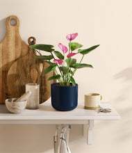 Load image into Gallery viewer, Twilight Blue