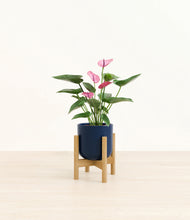 Load image into Gallery viewer, Twilight Blue stand:bamboo