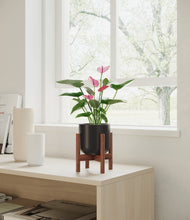 Load image into Gallery viewer, Stone Black stand:walnut