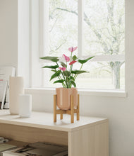 Load image into Gallery viewer, Glossy Pink stand:bamboo