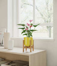 Load image into Gallery viewer, Key Lime Yellow stand:bamboo