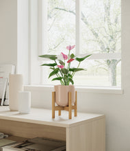 Load image into Gallery viewer, Sandy Pink stand:bamboo