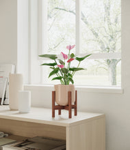 Load image into Gallery viewer, Sandy Pink stand:walnut