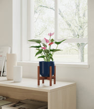 Load image into Gallery viewer, Twilight Blue stand:walnut