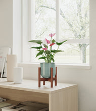 Load image into Gallery viewer, Reactive Aqua stand:walnut