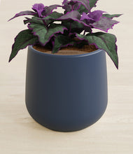 Load image into Gallery viewer, Deep Navy stand:all