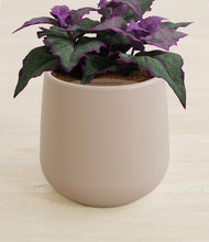 Load image into Gallery viewer, Eternal Gray stand:all