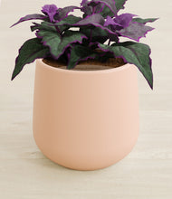 Load image into Gallery viewer, Gentle Pink stand:all