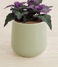 Load image into Gallery viewer, Turquoise stand:all