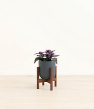 Load image into Gallery viewer, Iron Gray stand:walnut