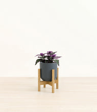 Load image into Gallery viewer, Iron Gray stand:bamboo