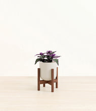 Load image into Gallery viewer, Natural Bamboo stand:walnut